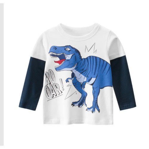 Boy's Long Sleeve T Shirt