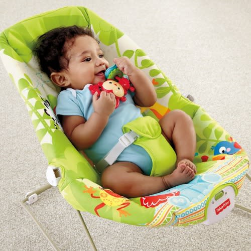 Baby Bouncer