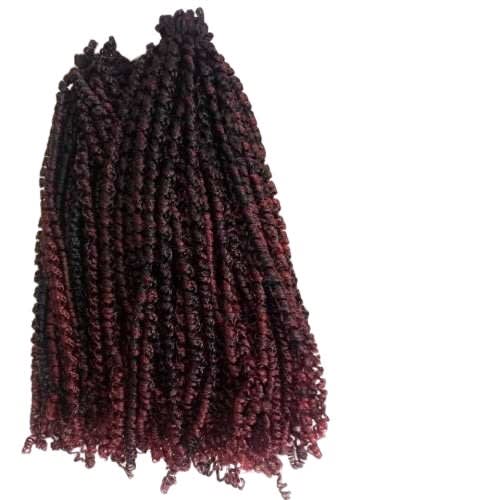 Crochet Braids -  A Pack