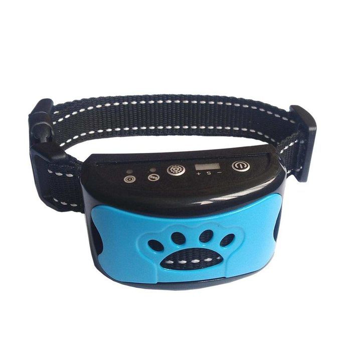 Training Collar Blue