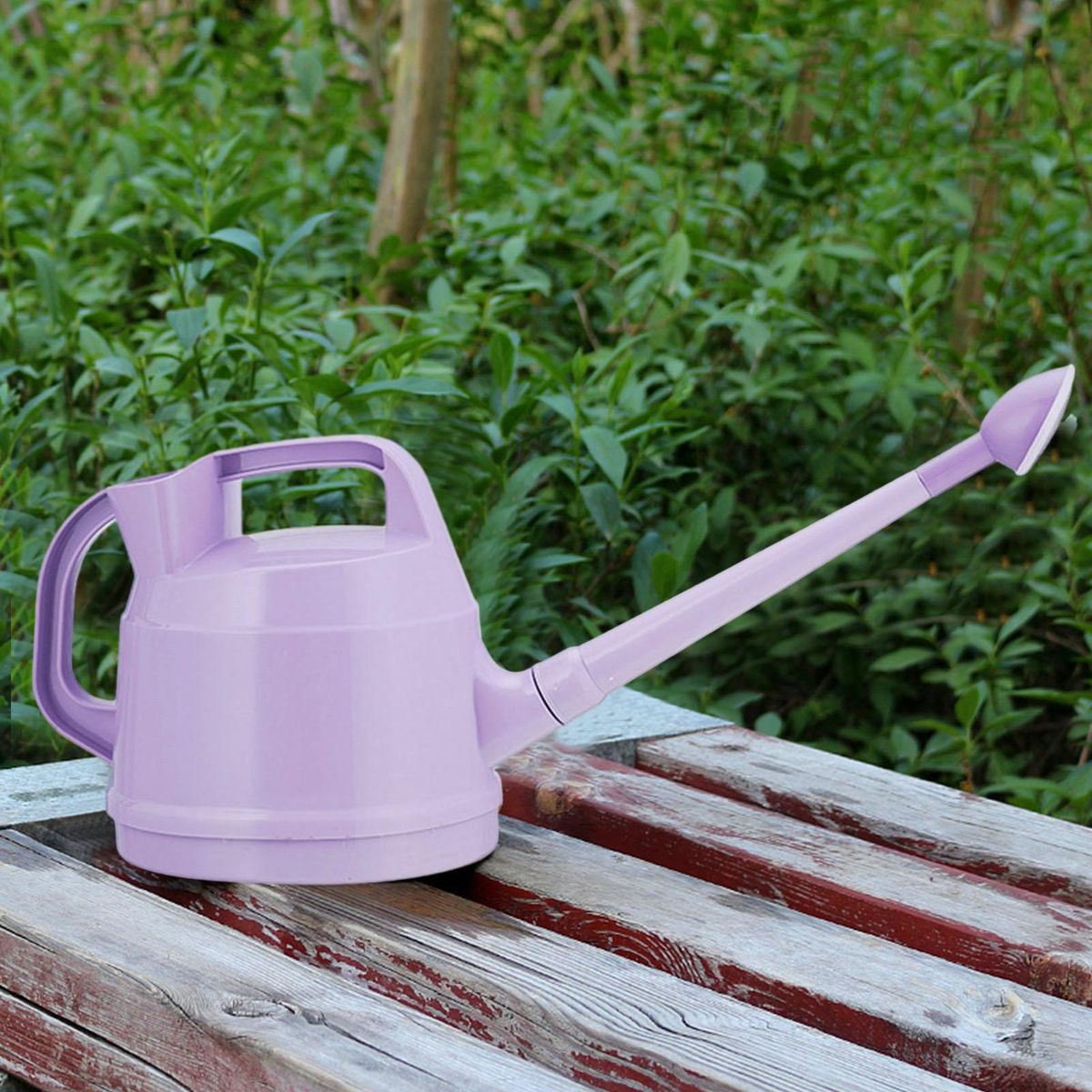 Indoor Plant Watering Pot with Detachable Long Spout 4.5l Ergonomic Purple