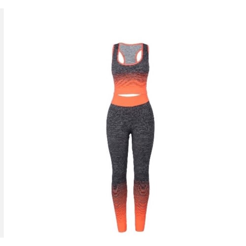 Women's Seamless Fitness Wear- 2 In 1