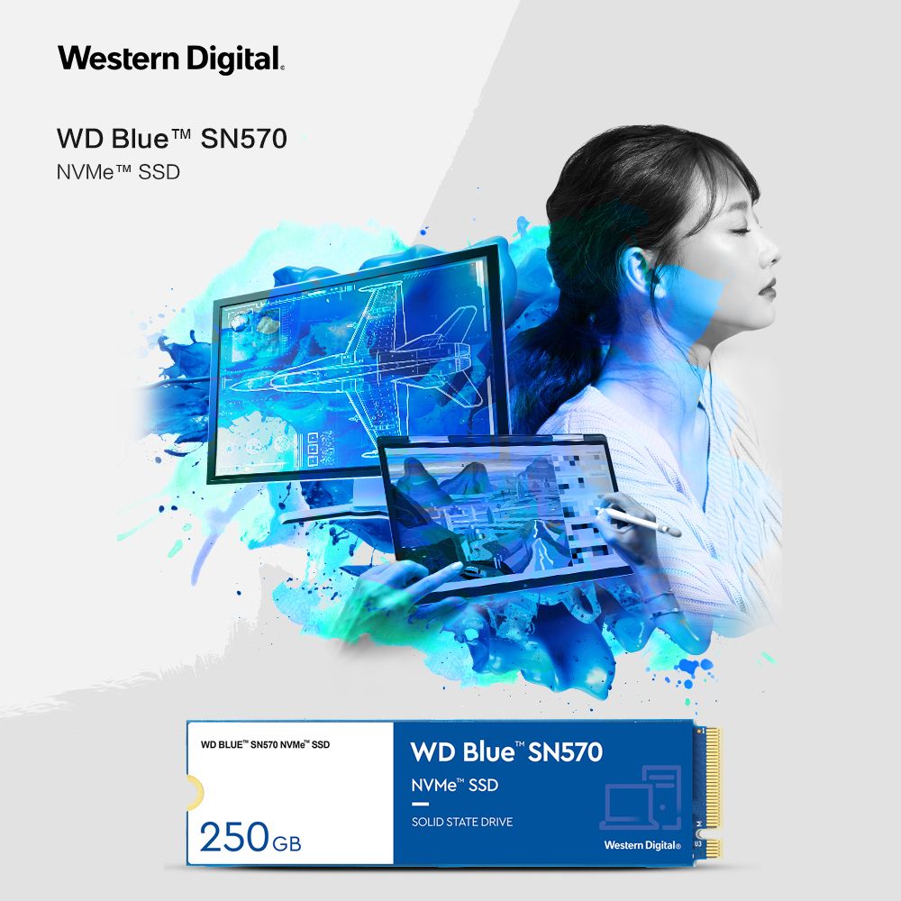 Blue SN570 1TB SSD NVMe Solid State Drive M.2 2280