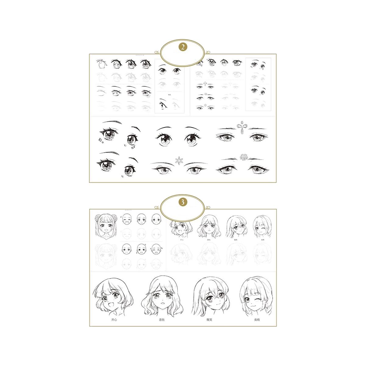 Drawing Books and Painting Book/Coloring Book Learn How to