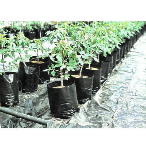 Grow Plant Nursery Bags - 8X12" - 100 Pieces
