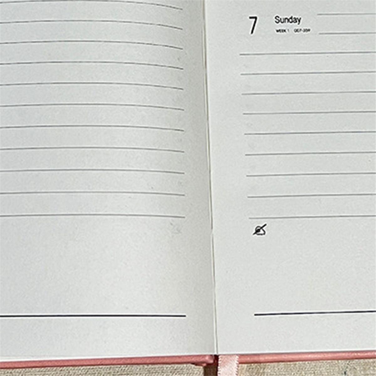 2024 Diary A5 Diary Week to View A5 Daily Planner Notebook P