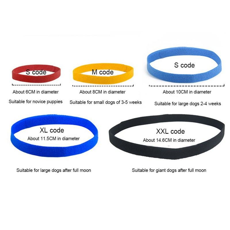 12 15 Pcs Pack Identification ID Collars Bands Whelp Puppy