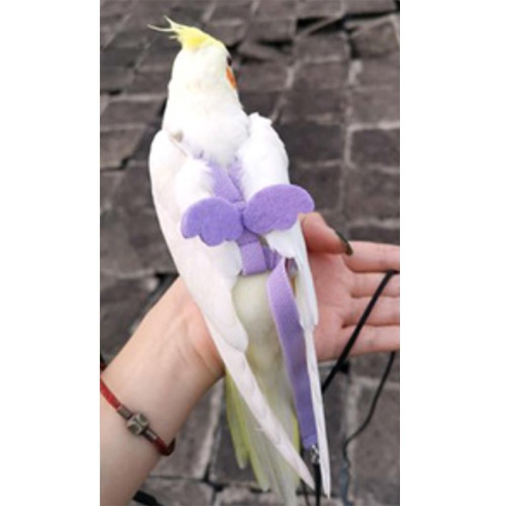 Yellow Parrot Bird Leash Outdoor Adjustable Harness Training Rope Anti Bite Flying Band Soft Comfortable Parrot Leash