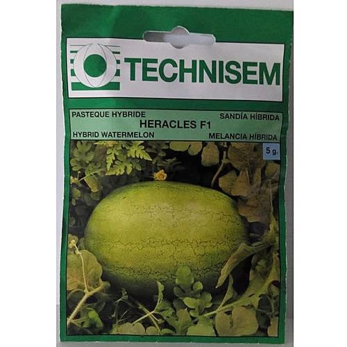 Technisem - Hybrid Watermelon Seed - Heracles F1 - 5g