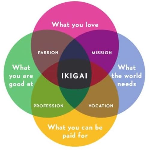 IKIGAI - The Japanese Secret To A Long And Happy Life By Hector Garcia