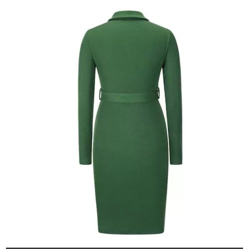 Ladies Shirt Dress