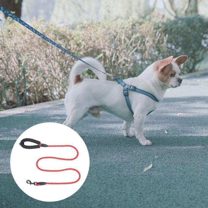 Small Large Pets Dog Walking Leash Running Pet Dog Lead With Foam Red