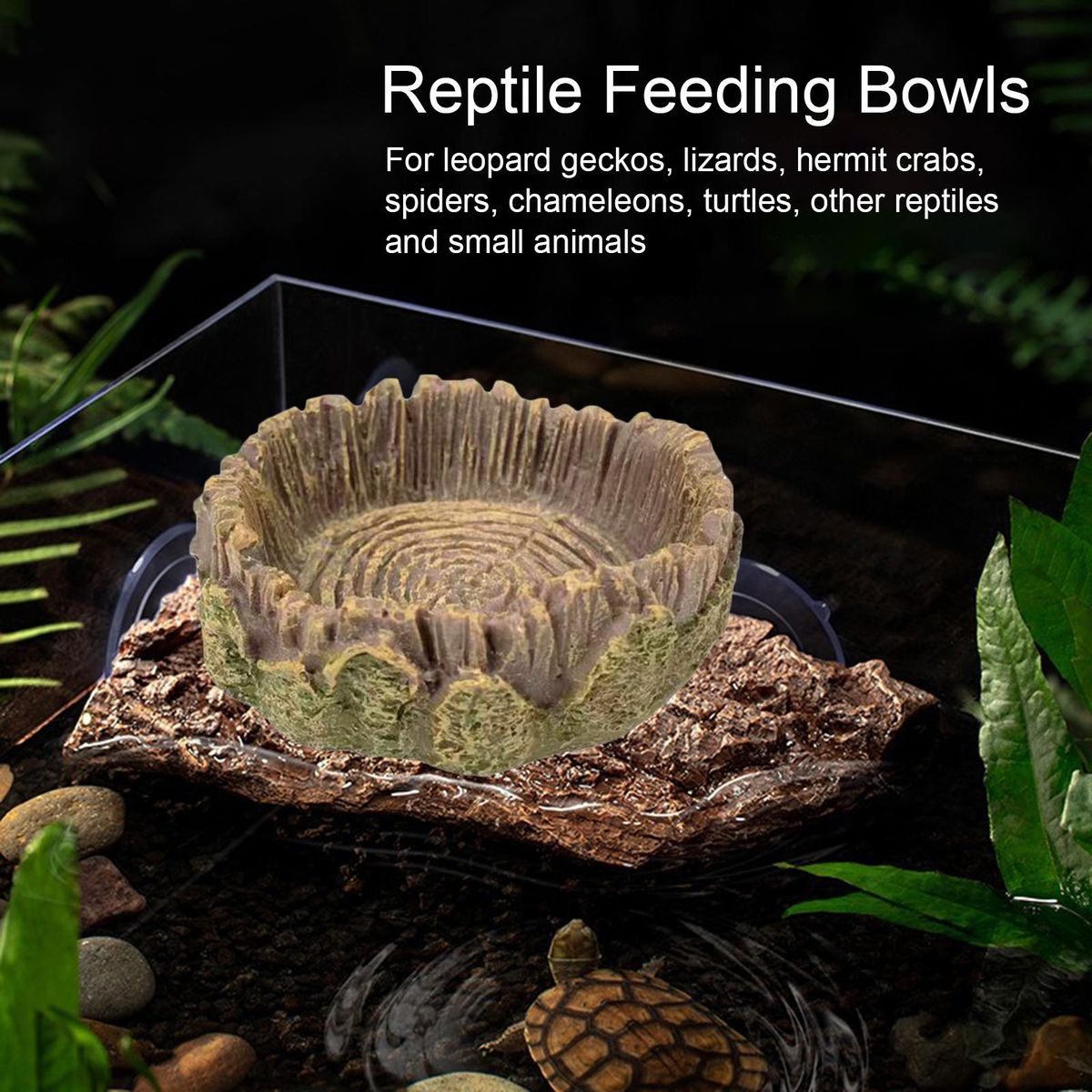 Tropical Theme Reptile Feeding Bowls Natures Oasis Reptile Feeding