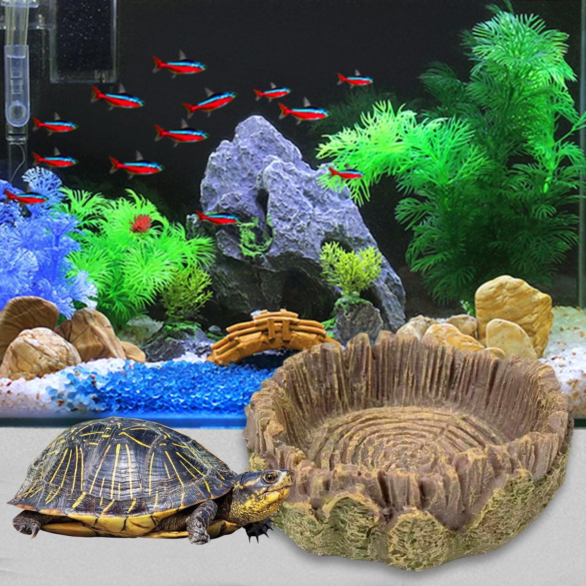 Tropical Theme Reptile Feeding Bowls Natures Oasis Reptile Feeding