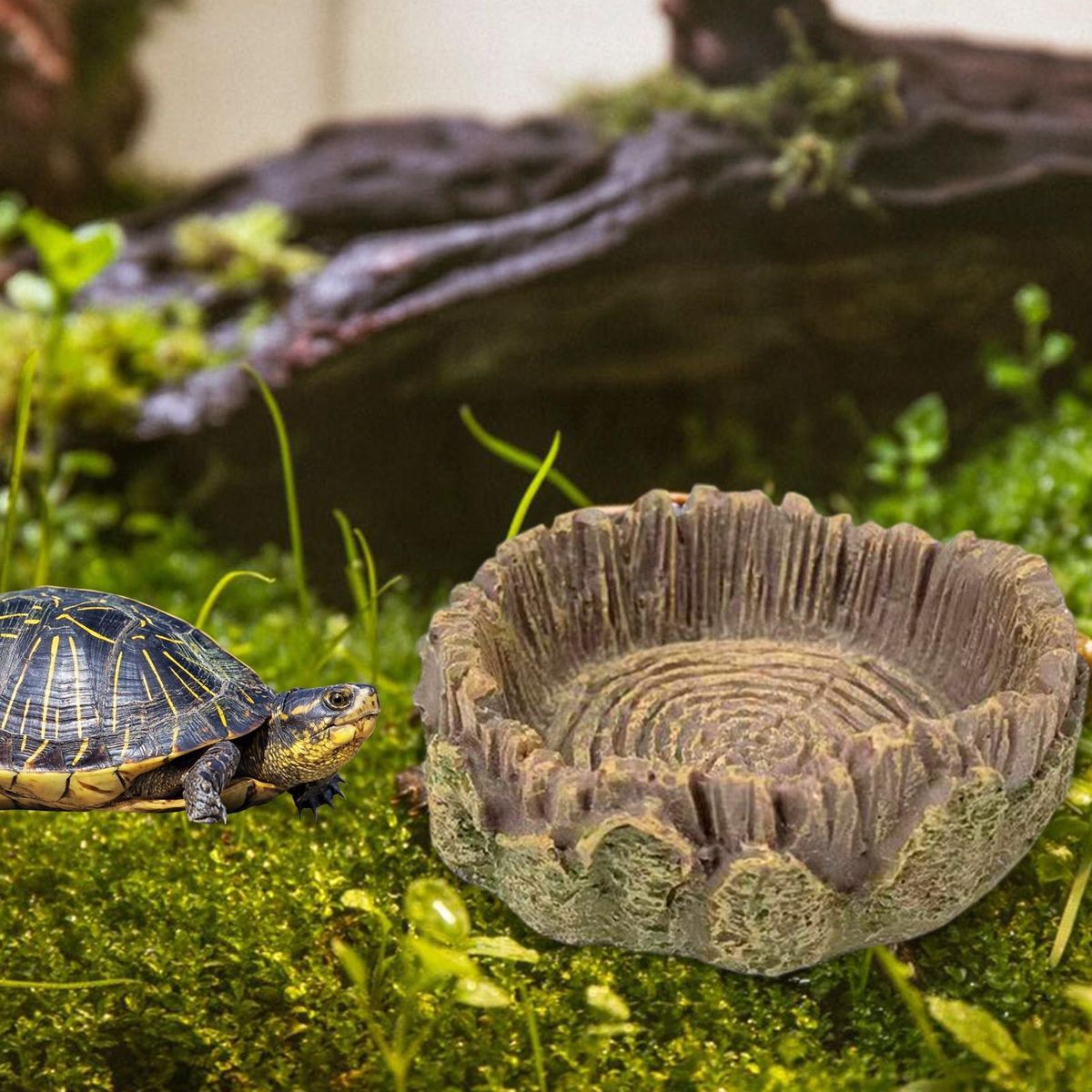 Tropical Theme Reptile Feeding Bowls Natures Oasis Reptile Feeding