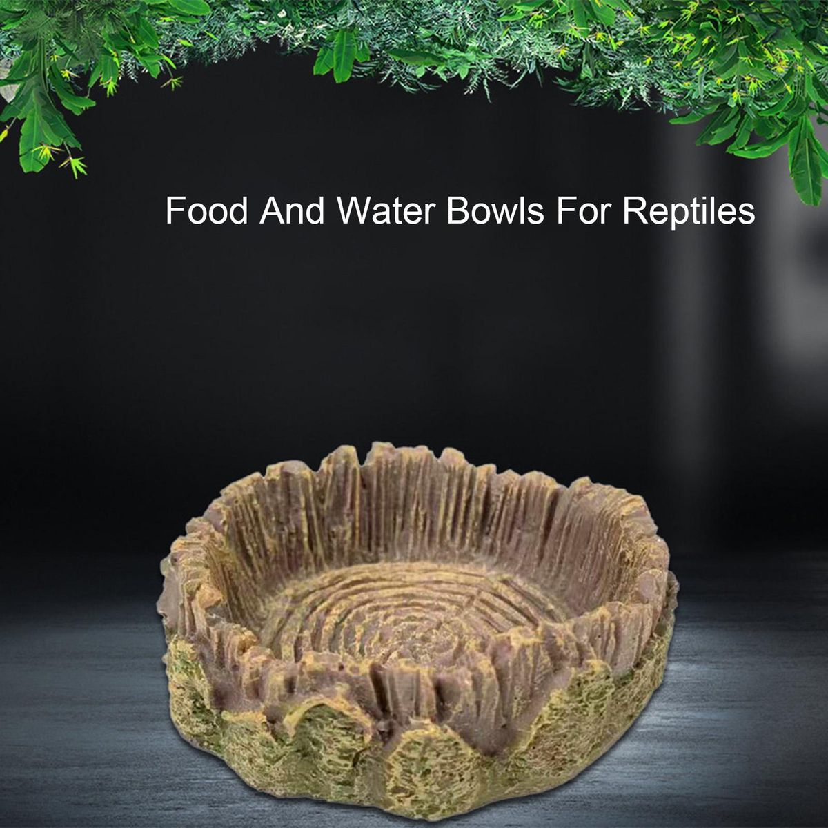 Tropical Theme Reptile Feeding Bowls Natures Oasis Reptile Feeding