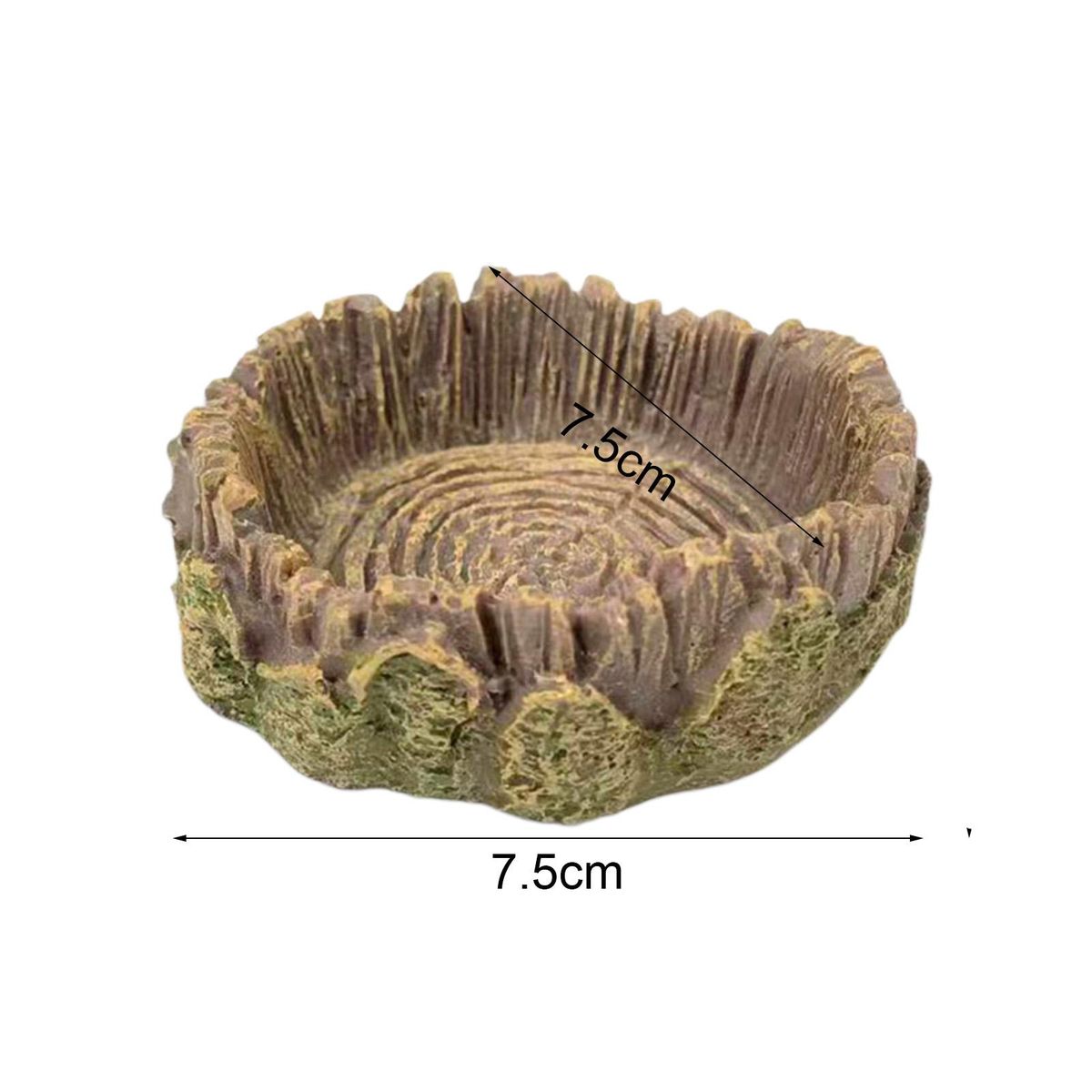 Tropical Theme Reptile Feeding Bowls Natures Oasis Reptile Feeding