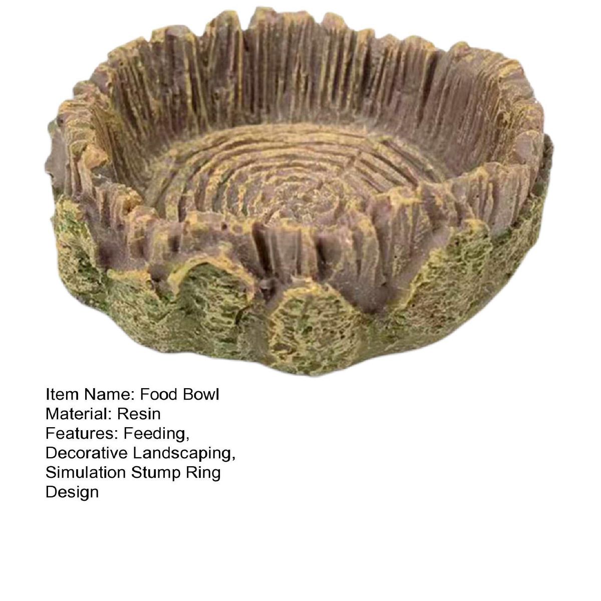 Tropical Theme Reptile Feeding Bowls Natures Oasis Reptile Feeding