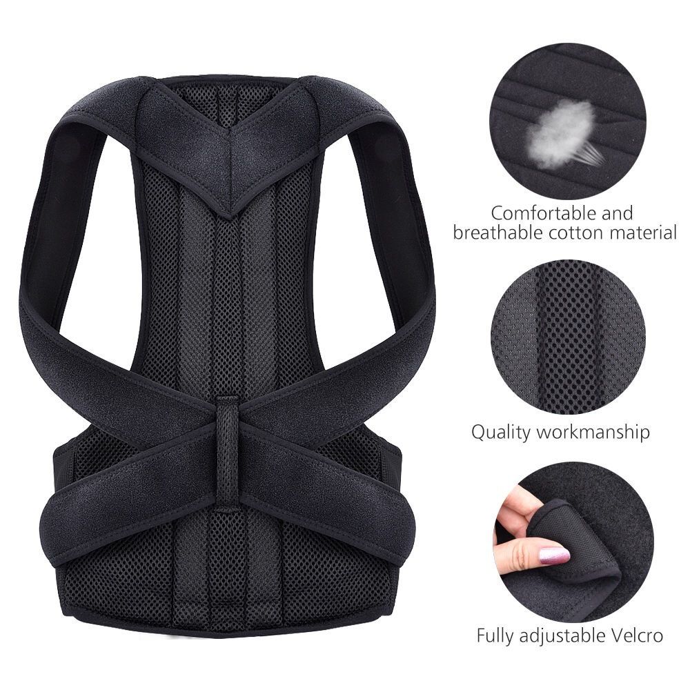 Douyin Explosion Models Of Male And Female Spine Posture
