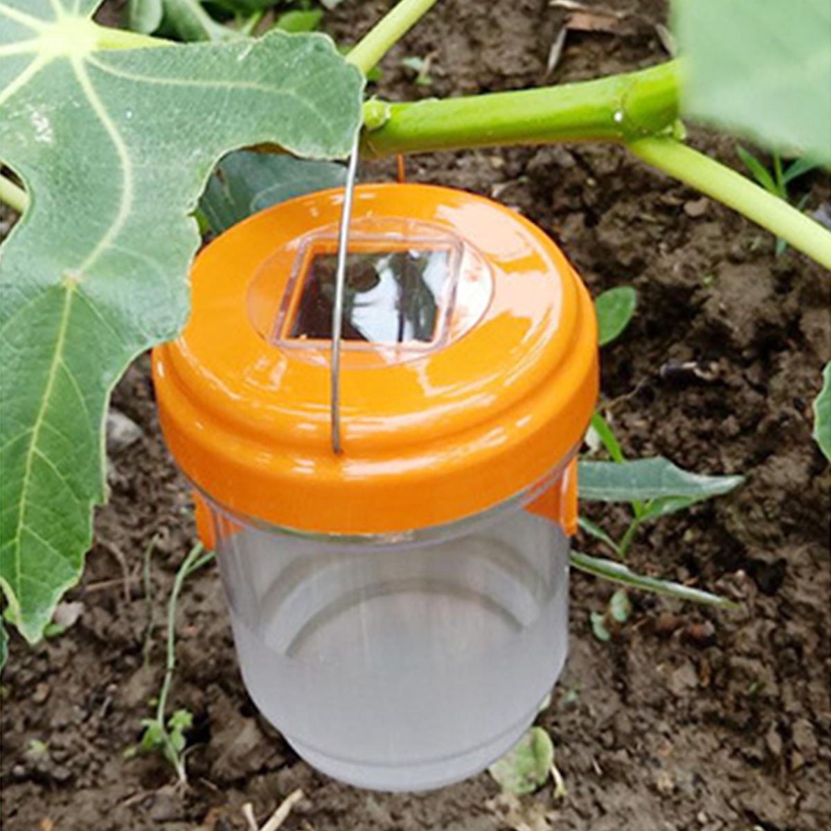 Bee Bait Trap Solar-powered Orchard Farm Bee Trap Orange