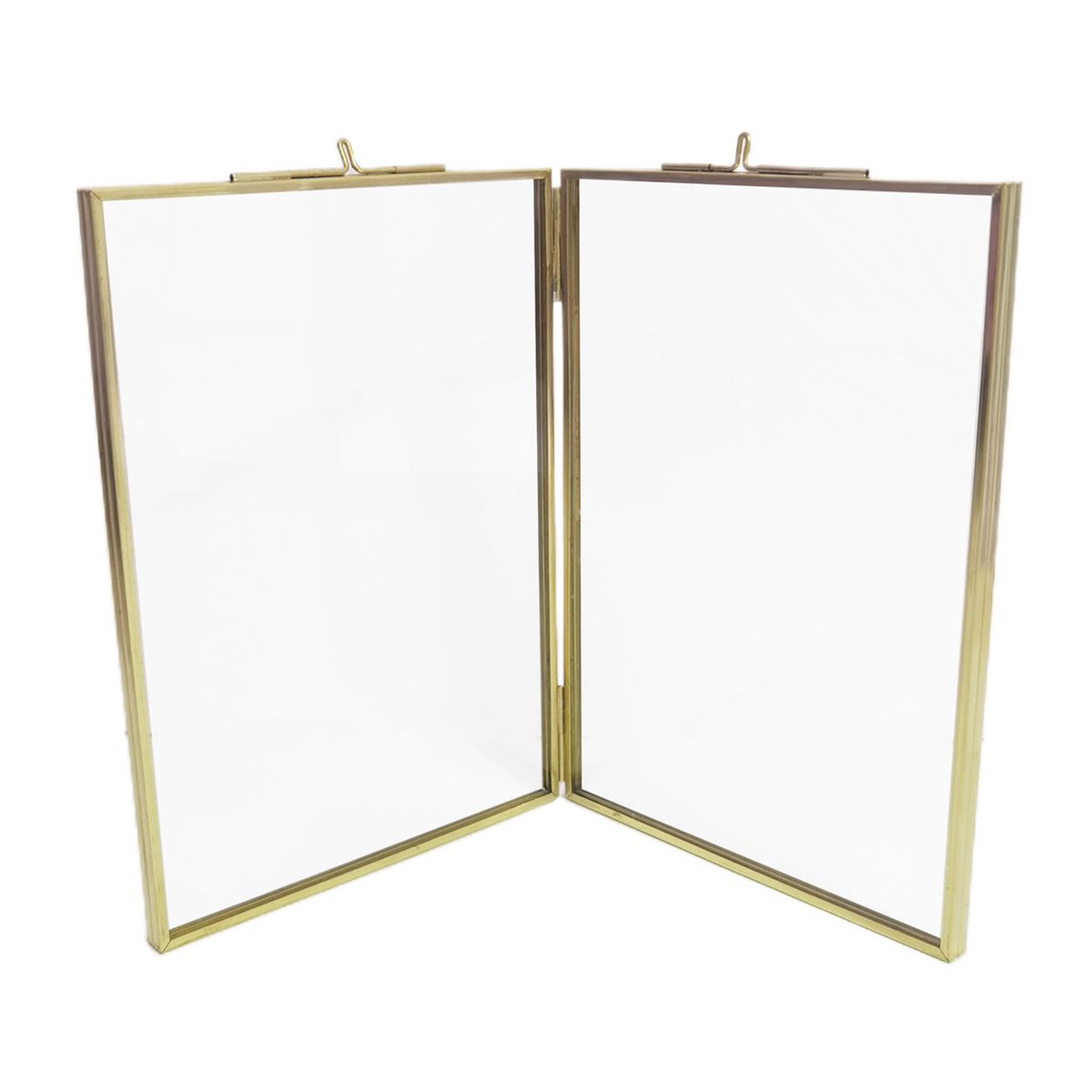 Picture  Hanging Photo S Herbarium Artwork Display