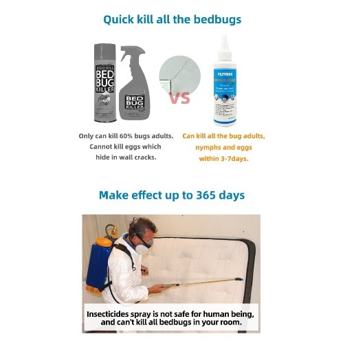 Pestman Bedbug Killer Solution - 100g