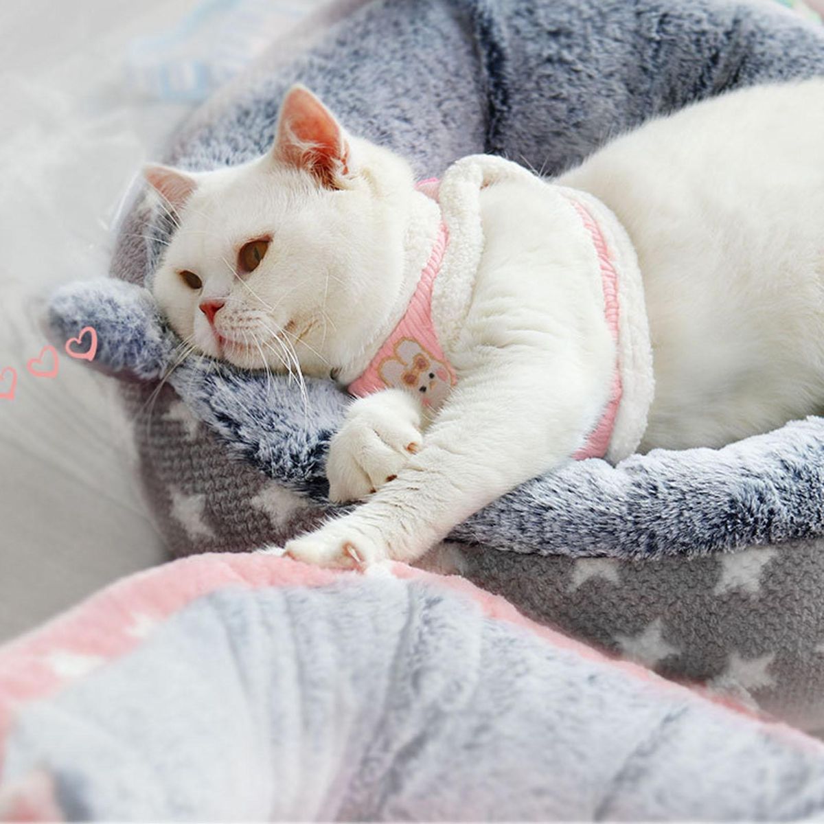 1 Set Cat Leash Rabbit Embroidery Pet Leash Pink