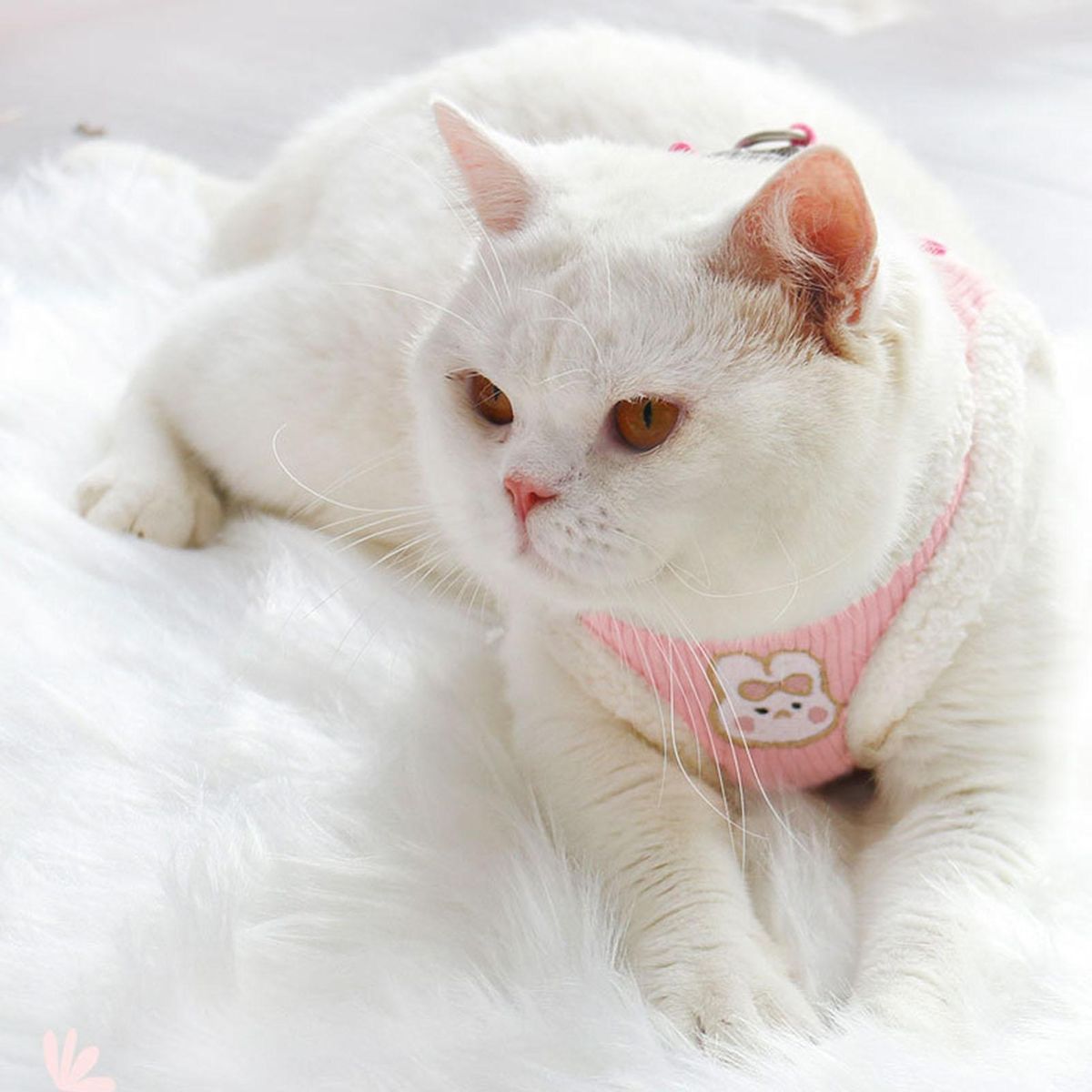 1 Set Cat Leash Rabbit Embroidery Pet Leash Pink