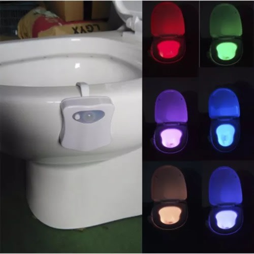 Motion Activated Toilet Bowl Light
