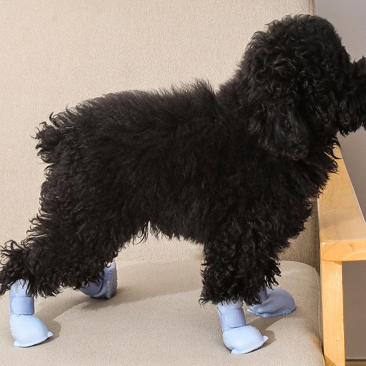 4Pcs Pet Shoes Nail Trim Grooming Pet Cat Dog Foot Covers Purple