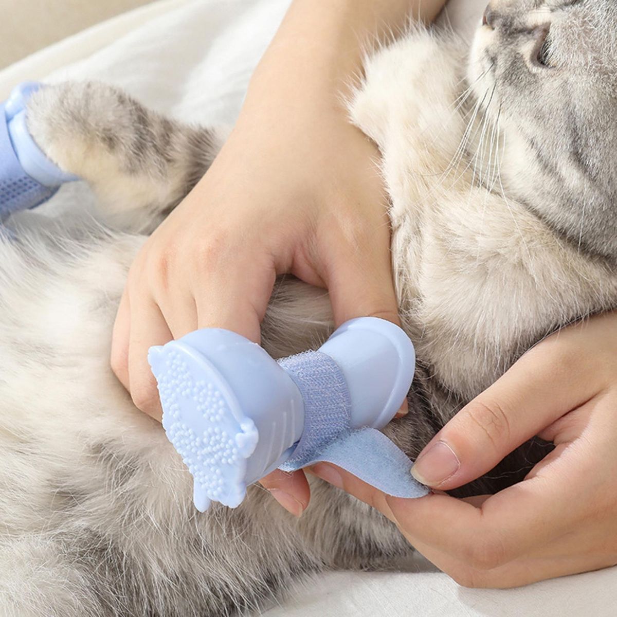 4Pcs Pet Shoes Nail Trim Grooming Pet Cat Dog Foot Covers Purple
