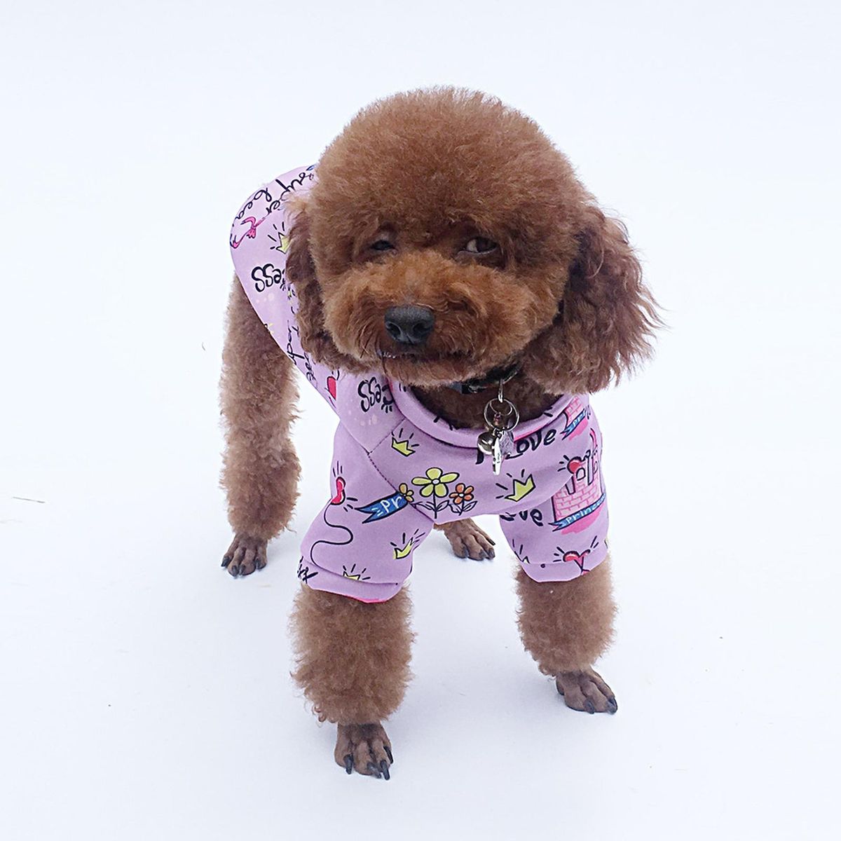 Dog Apparel Puppy Winter Clothes 2-Legged Pet Pullover Purple
