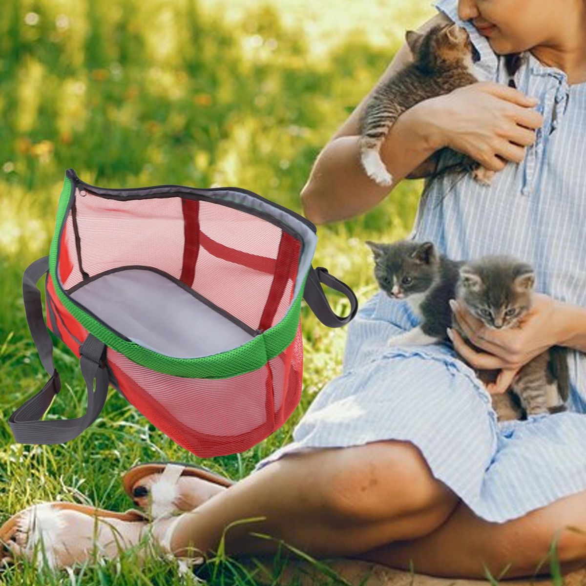 Pets Carrying Tote Handbag Pet Carrier Bag For Red Green