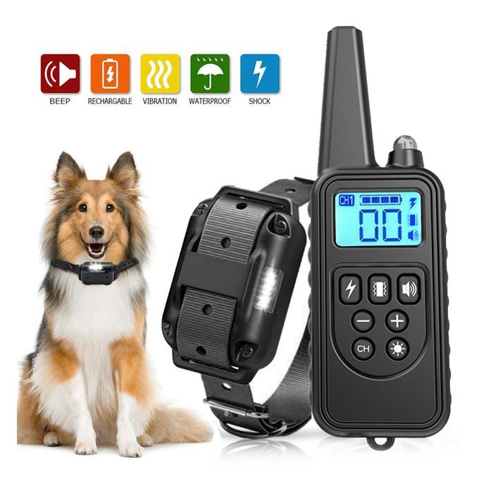 Dog Training Collar Dog Shock Collar With Remote 800 Meters-1 Collar