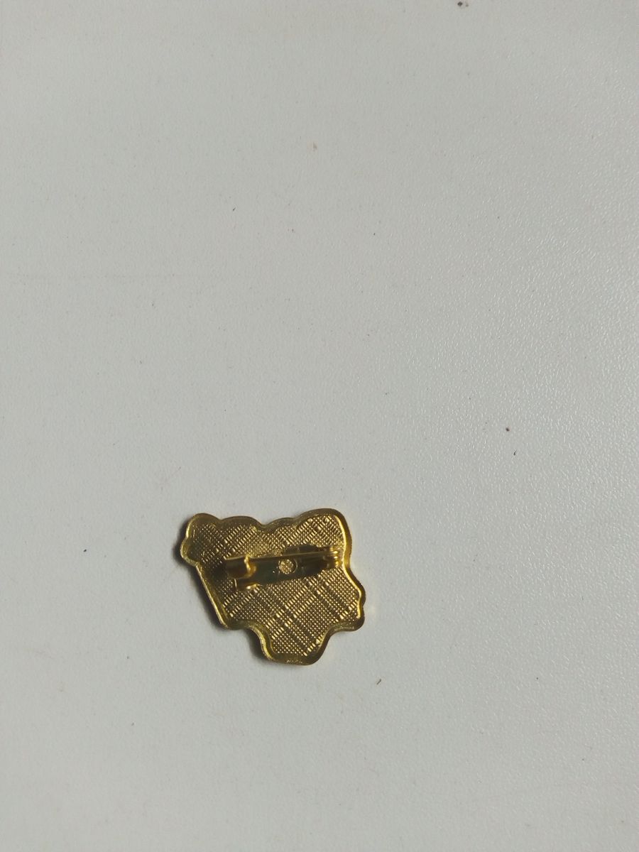 Nigerian Map Shape Lapel Pin