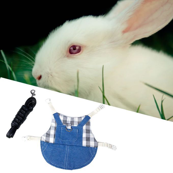 Rabbit Vest Harness Adjustable Soft Jacket Coat For Kitten L Gray