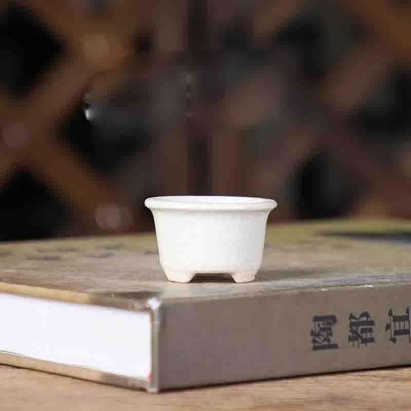 white2 Creative Round Thumb Flower Pot Mini Ice Cracked Glazed Succulent Flower Pot Chinese Home Desktop Decorative Bonsai Pot LE336