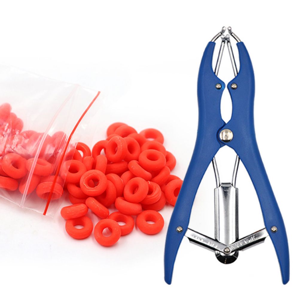 Castration Bander Pliers With 100 Pcs Castrator Rings