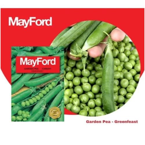 Garden Pea - Greenfeast -20g