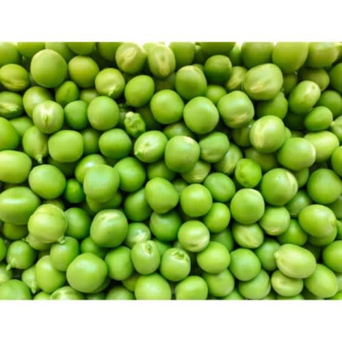 Garden Pea - Greenfeast -20g