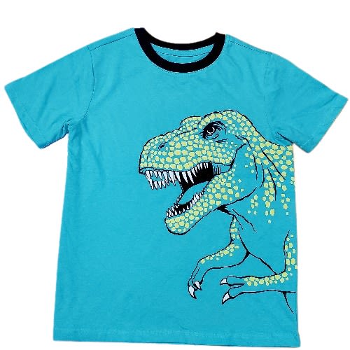 Boys Dino Design Tshirt