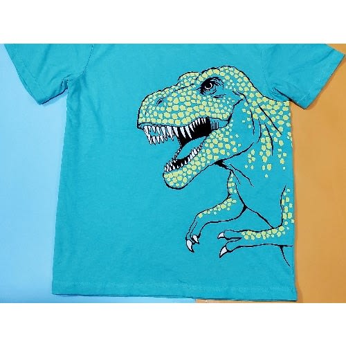 Boys Dino Design Tshirt
