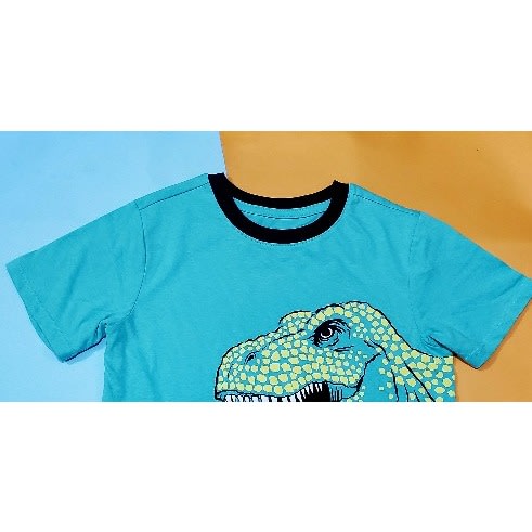 Boys Dino Design Tshirt