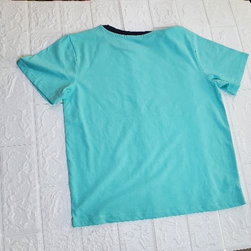 Boys Dino Design Tshirt