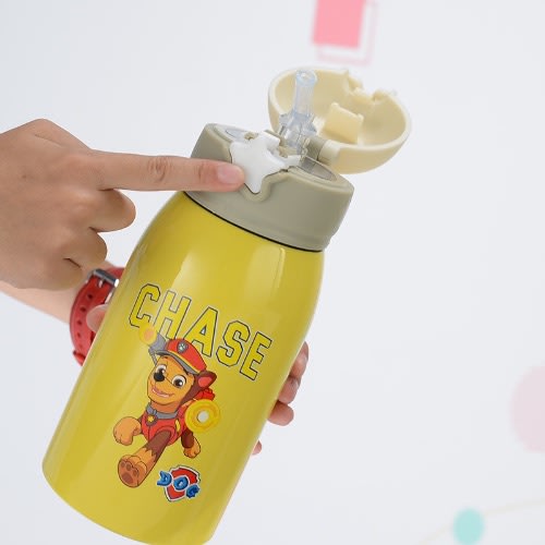 Paw Patrol Themed Stainless Water Flask - 500ml