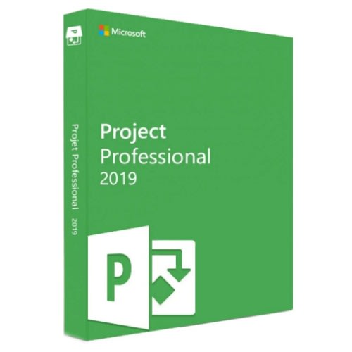 Microsoft Visio Professional Binding 2019