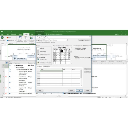 Microsoft Visio Professional Binding 2019