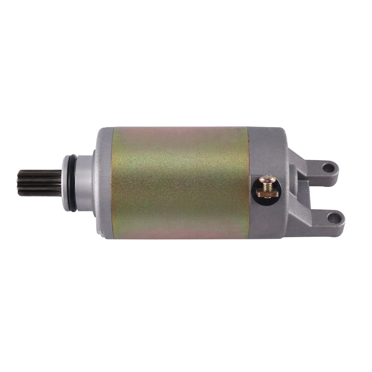 Starter Motor Motorcycle Supplies for Suzuki GSF250 GSX250 GSXR250