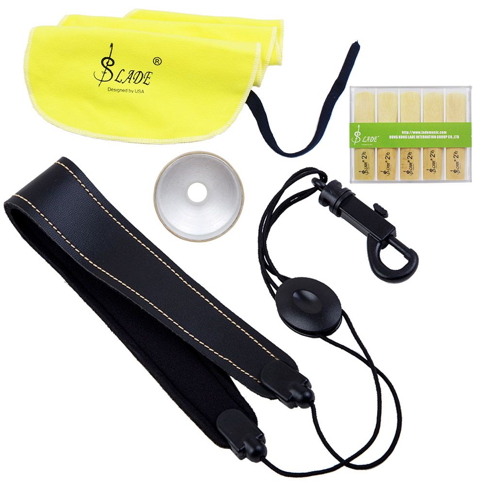 LADE 4-in-1 Alto Saxophone Sax Accessory Kit Belt Cleaning