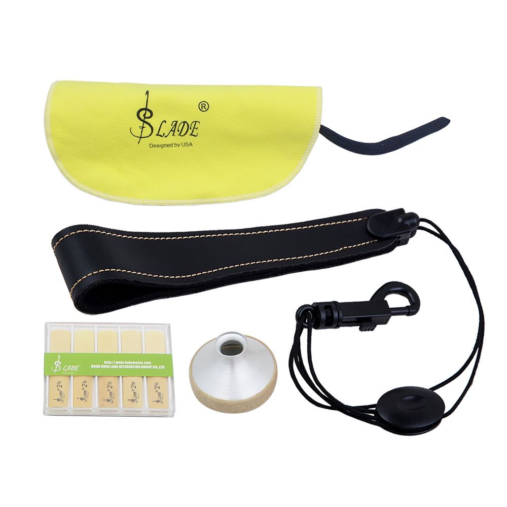 LADE 4-in-1 Alto Saxophone Sax Accessory Kit Belt Cleaning